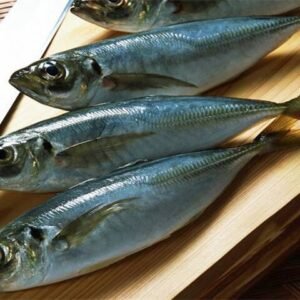 Hake (White Hake)